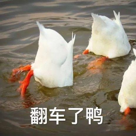 翻车.jpg